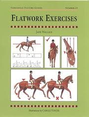 Tapa de Flatwork Exercises (Threshold Picture Guide Series: No. 23)
