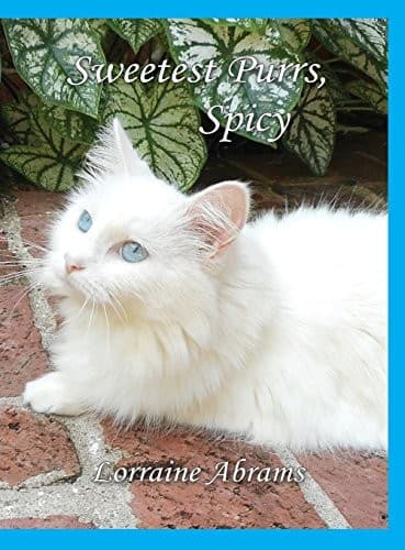 Tapa de Sweetest Purrs, Spicy