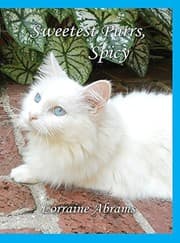 Tapa de Sweetest Purrs, Spicy