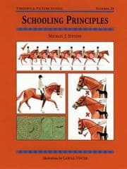 Tapa de Schooling Principles (Threshold Picture Guides, 39)