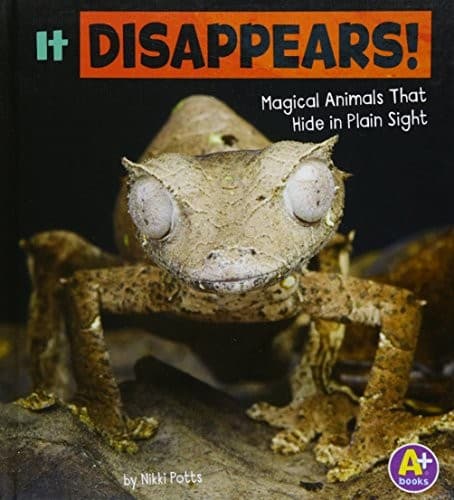 Tapa de It Disappears!