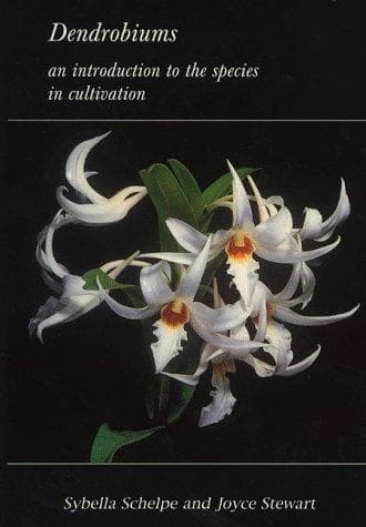 Tapa de Dendrobiums