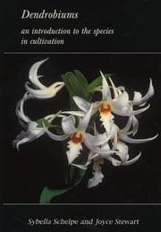 Tapa de Dendrobiums