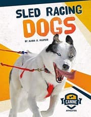 Tapa de Sled Racing Dogs