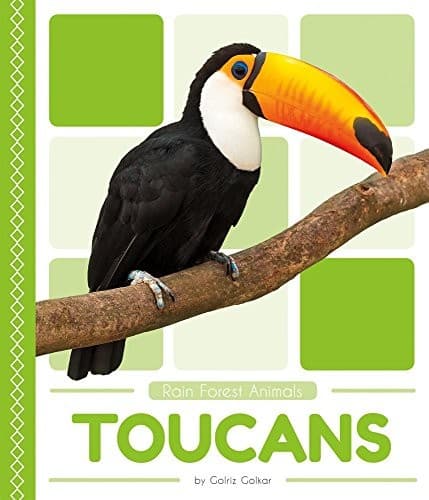 Tapa de Toucans