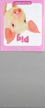 Tapa de Pig