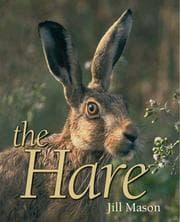 Tapa de The Hare