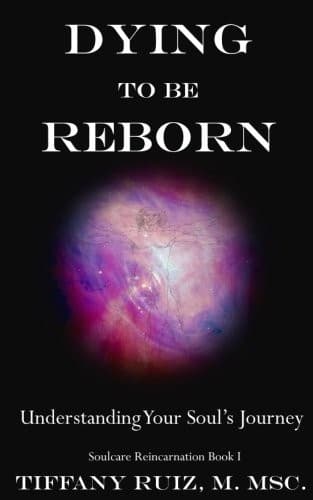 Tapa de Dying to be Reborn