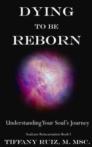 Tapa de Dying to be Reborn