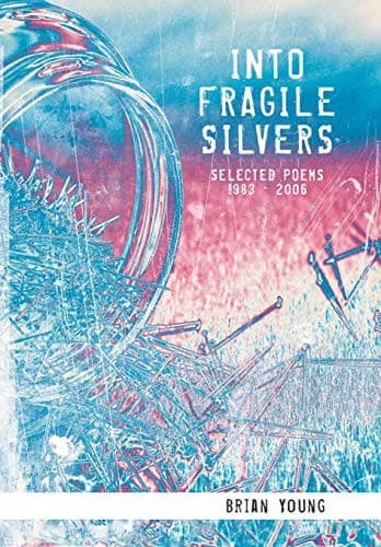 Tapa de INTO FRAGILE SILVERS