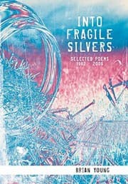 Tapa de INTO FRAGILE SILVERS