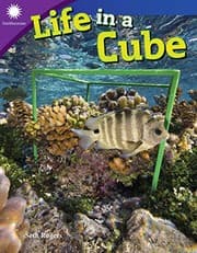 Tapa de Life in a Cube
