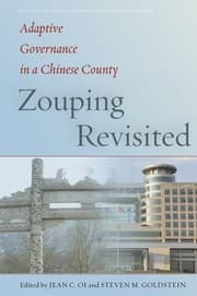Tapa de Zouping Revisited