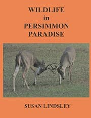 Tapa de Wildlife in Persimmon Paradise