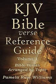 Tapa de KJV Bible Verse Reference Guide Volume 1