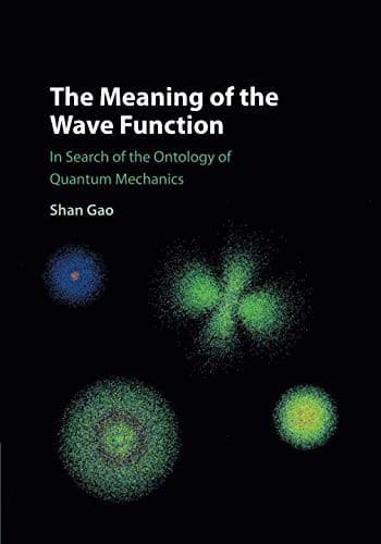 Tapa de The Meaning of the Wave Function