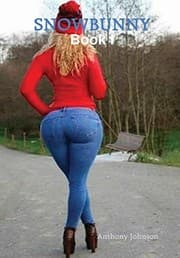 Tapa de Snow Bunny
