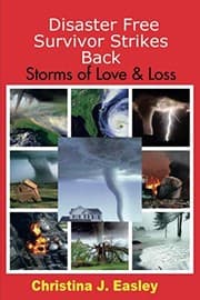 Tapa de Disaster Free Survivor Strikes Back