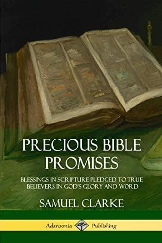 Tapa de Precious Bible Promises