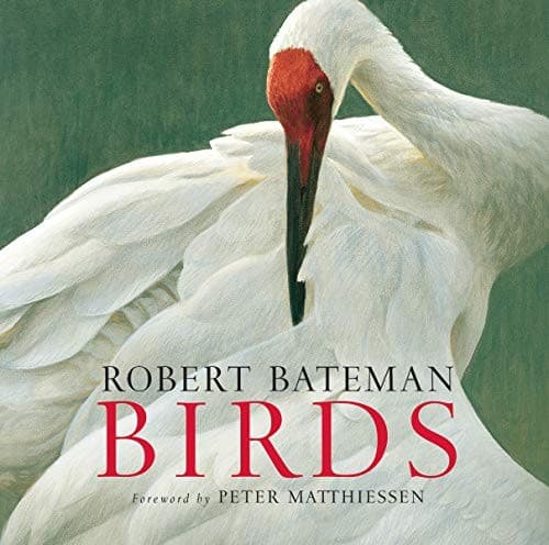 Tapa de Birds