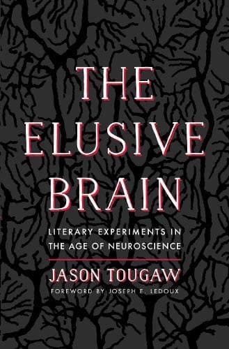 Tapa de The Elusive Brain