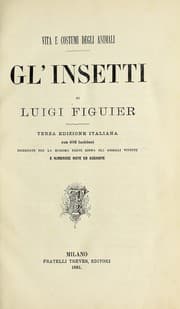 Tapa de Vita e costumi degli animali