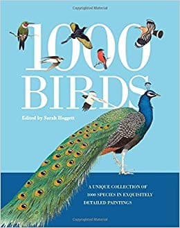 Tapa de 1000 birds