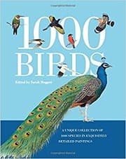 Tapa de 1000 birds