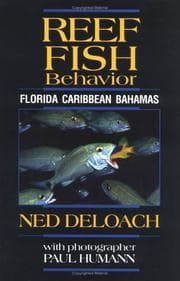 Tapa de Reef Fish Behavior