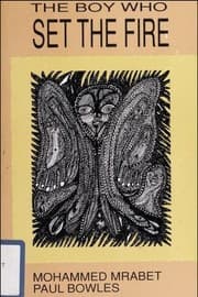 Tapa de The Boy Who Set the Fire & Other Stories