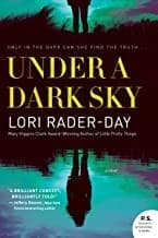Tapa de Under a dark sky