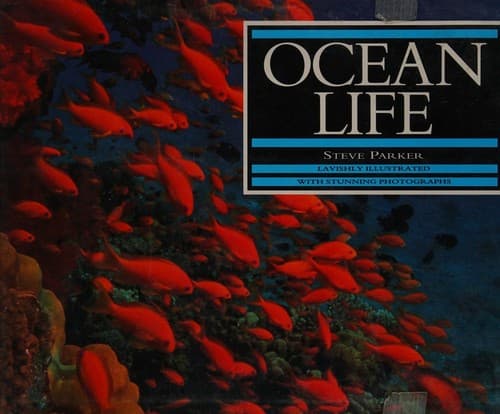 Tapa de Ocean life