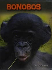 Tapa de Bonobos