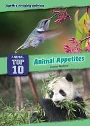 Tapa de Animal Appetites