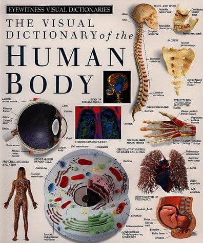 Tapa de Human Body (DK Visual Dictionaries)