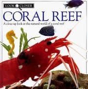 Tapa de Coral reef