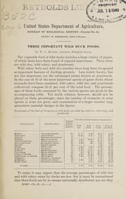 Tapa de Three important wild duck foods