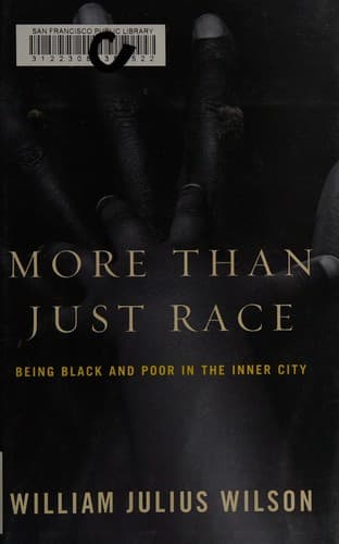 Tapa de More than just race