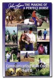 Tapa de Communicating with Cues