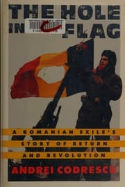 Tapa de The Hole in the Flag