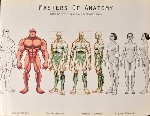 Tapa de The Ideal Male & Female Body (Masters of Anatomy #1)