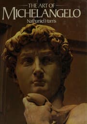 Tapa de The art of Michelangelo