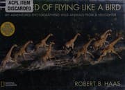 Tapa de I dreamed of flying like a bird