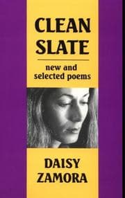 Tapa de Clean Slate
