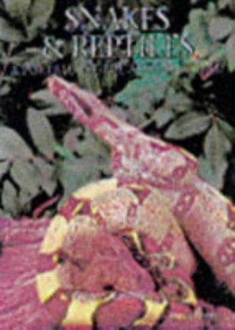 Tapa de Snakes and Reptiles
