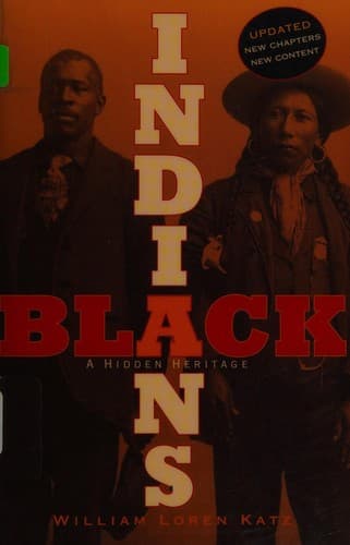 Tapa de Black Indians