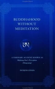 Tapa de Raṅ bźin rdzogs pa chen poʾi raṅ źal mṅon du byed paʾi gdams pa zab gsaṅ sñin po