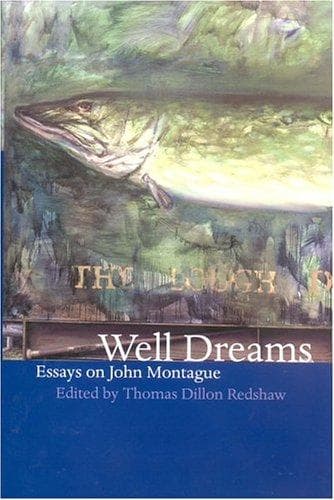 Tapa de Well dreams