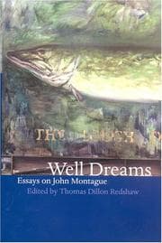 Tapa de Well dreams