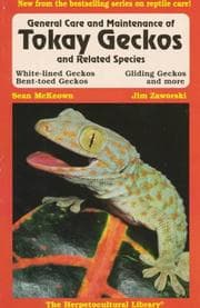 Tapa de General care and maintenance of Tokay geckos and related species